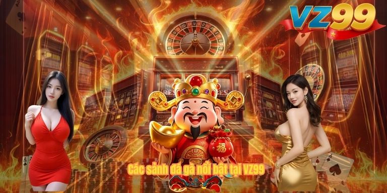 ĐÁ GÀ Các sảnh đá gà nổi bật tại VZ99